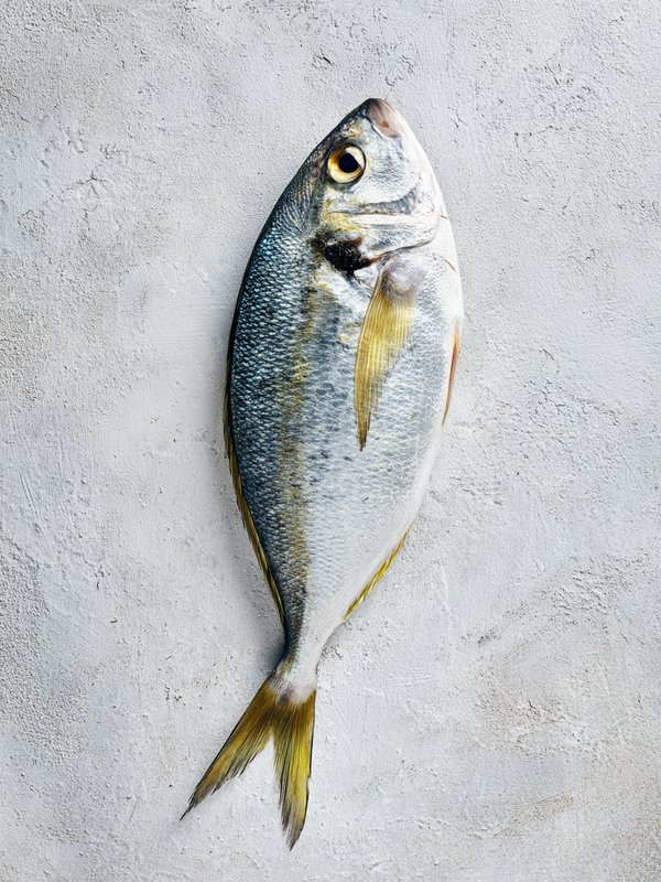 American Butterfish — ingredient reference image