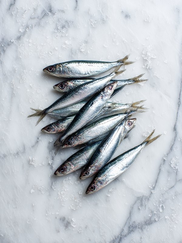Anchovy — ingredient reference image