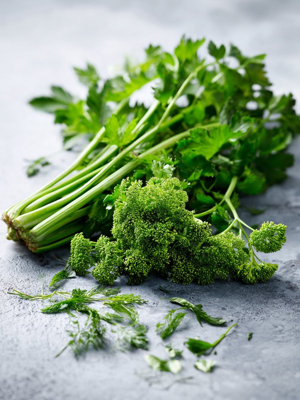 Angelica — ingredient reference image