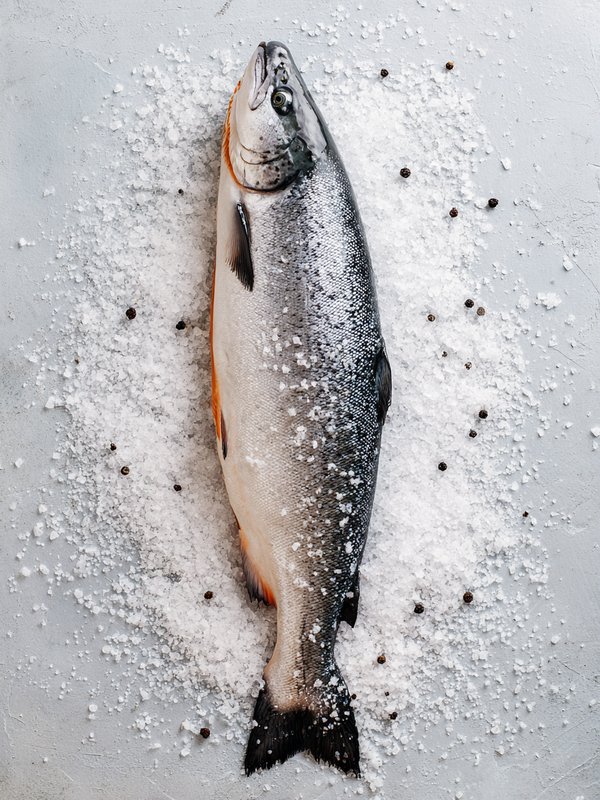 Atlantic Salmon — ingredient reference image