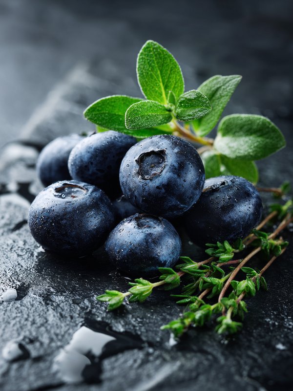 Bilberry — ingredient reference image