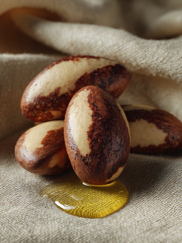 Brazil Nut — ingredient reference image
