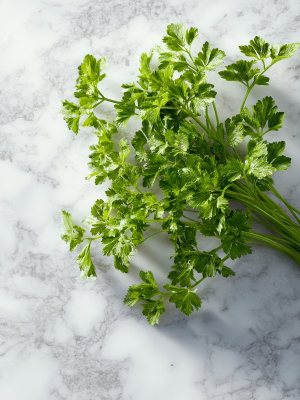 Chervil — ingredient reference image