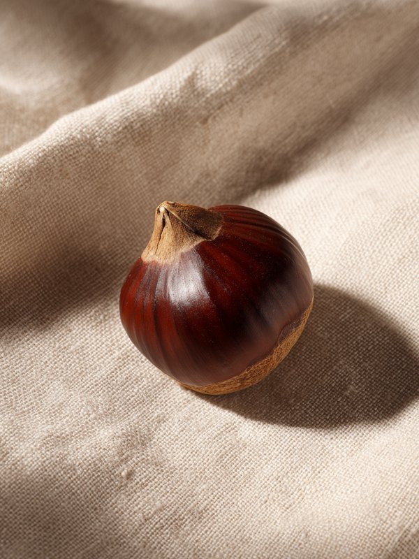 Chestnut — ingredient reference image