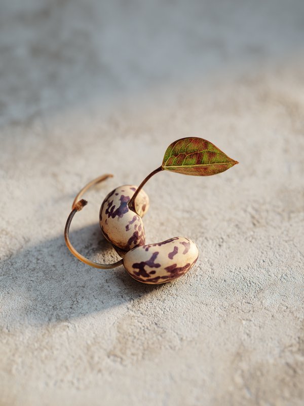 Climbing Bean — ingredient reference image