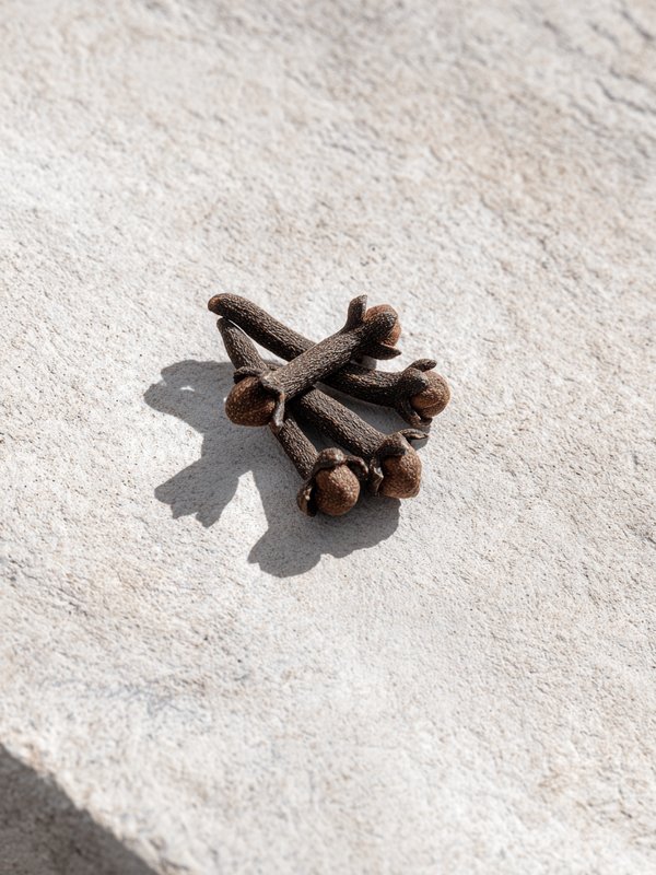 Clove — ingredient reference image