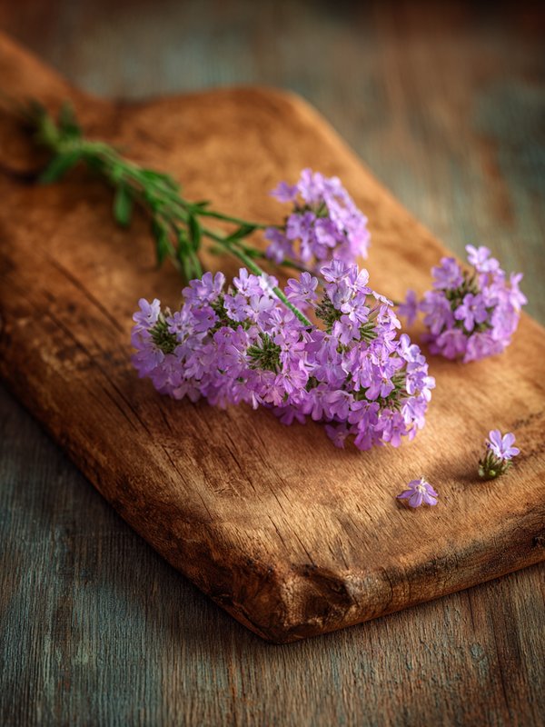 Common Verbena — ingredient reference image