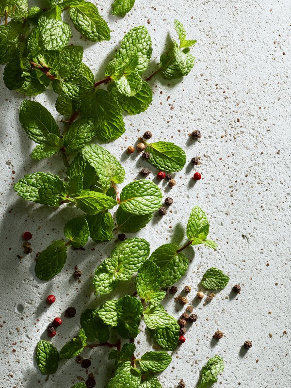 Cornmint — ingredient reference image
