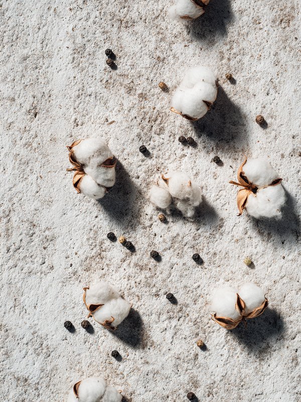 Cottonseed — ingredient reference image