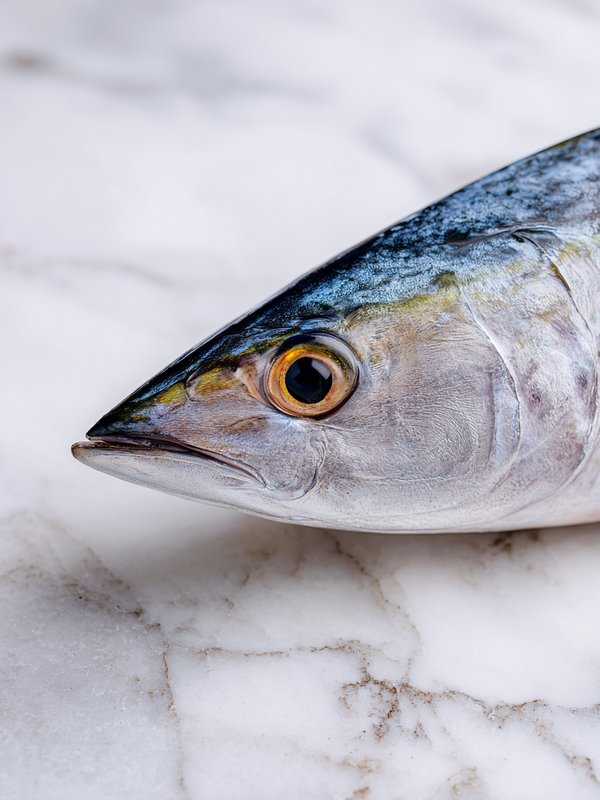 Dolphin Fish — ingredient reference image