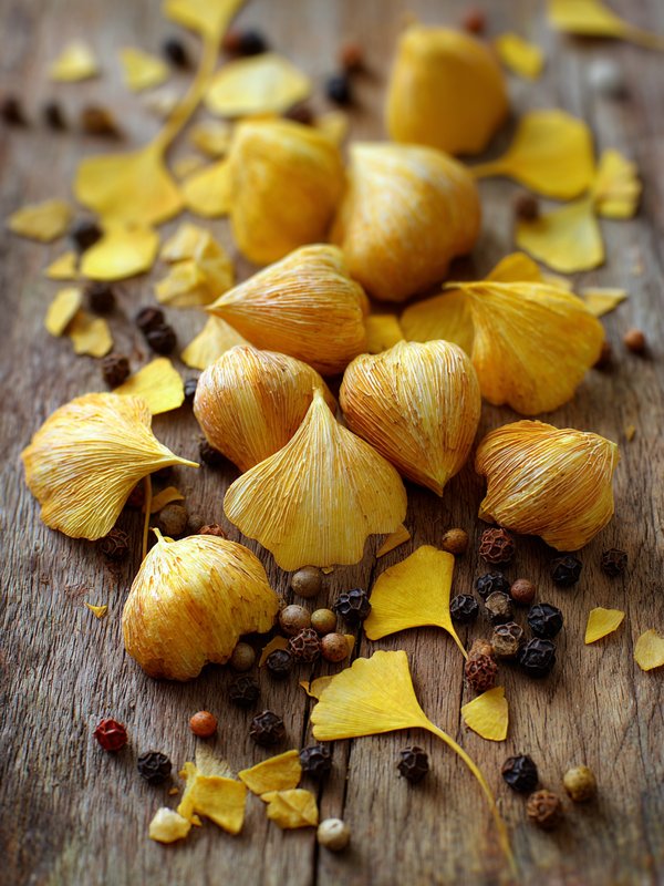 Ginkgo Nuts — ingredient reference image