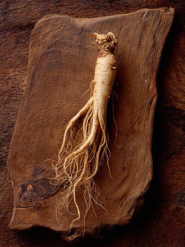 Ginseng — ingredient reference image