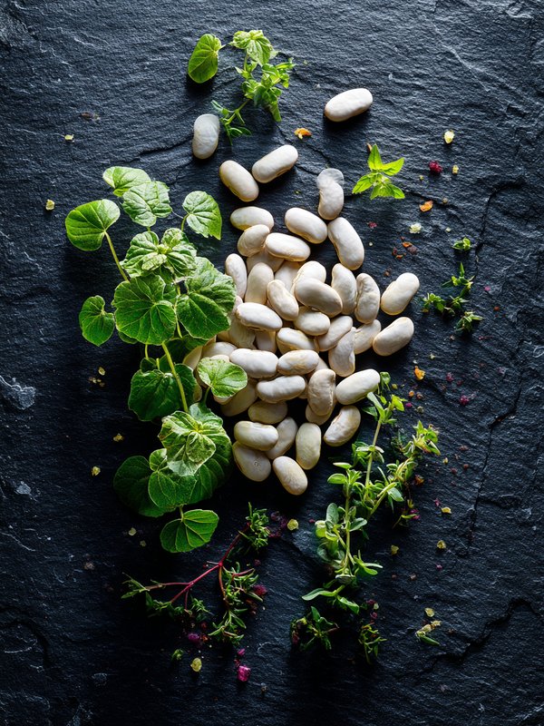 Gram Bean — ingredient reference image