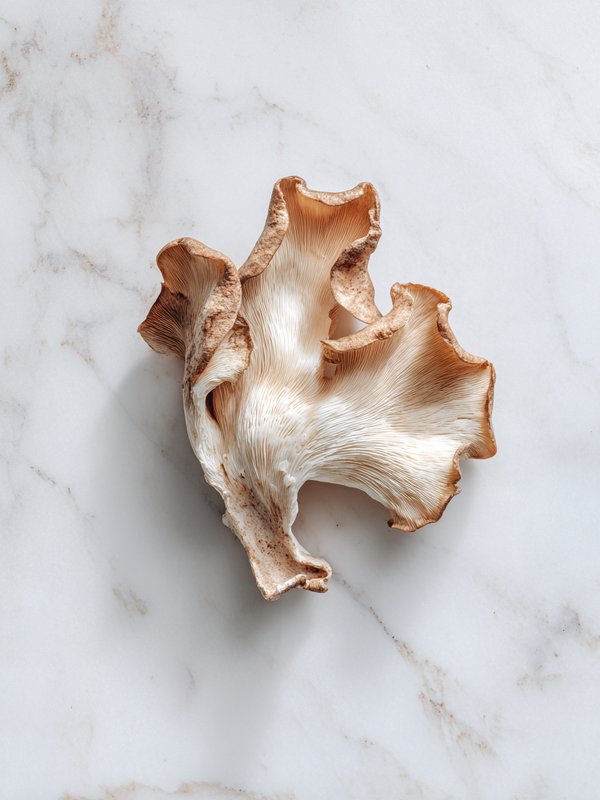 Jew's Ear — ingredient reference image