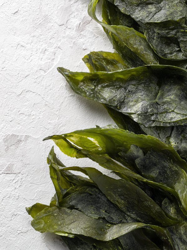 Kombu — ingredient reference image