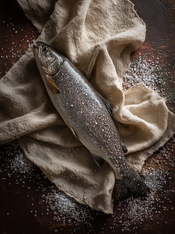 Lake Trout — ingredient reference image