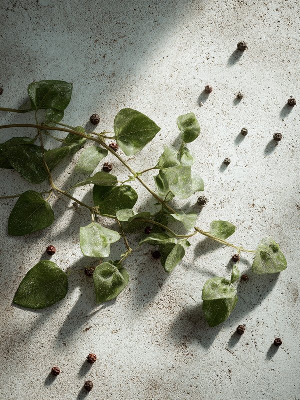 Lambsquarters — ingredient reference image