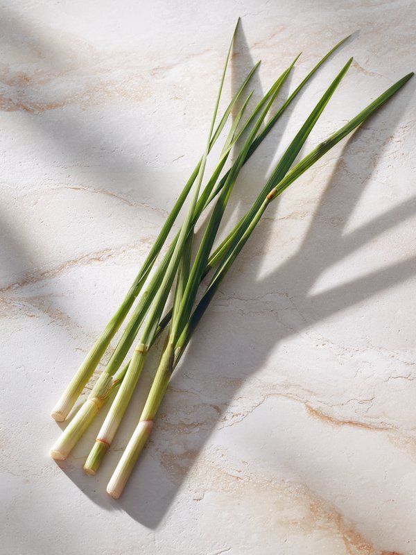 Lemon Grass — ingredient reference image