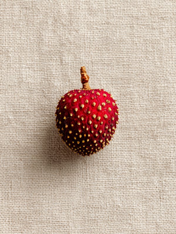 Litchi — ingredient reference image