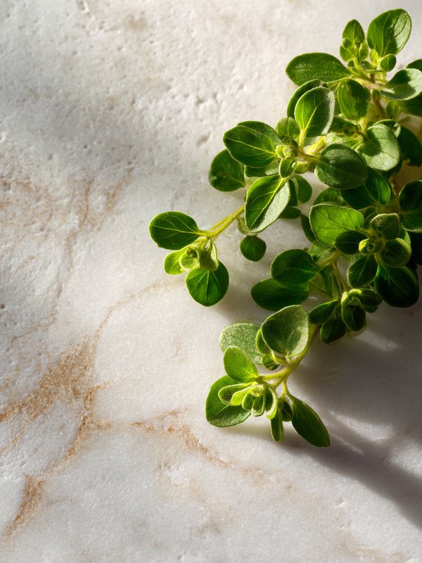 Marjoram — ingredient reference image