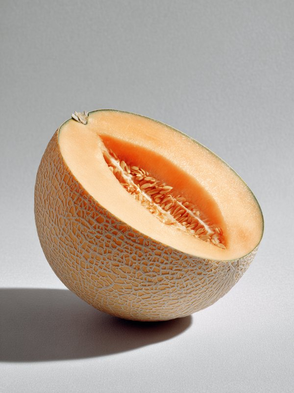 Melon — ingredient reference image