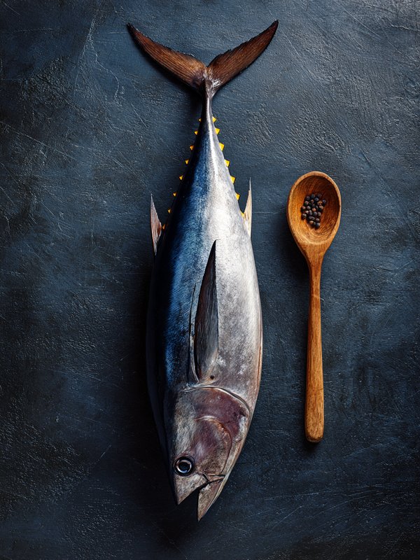 Northern Bluefin Tuna — ingredient reference image