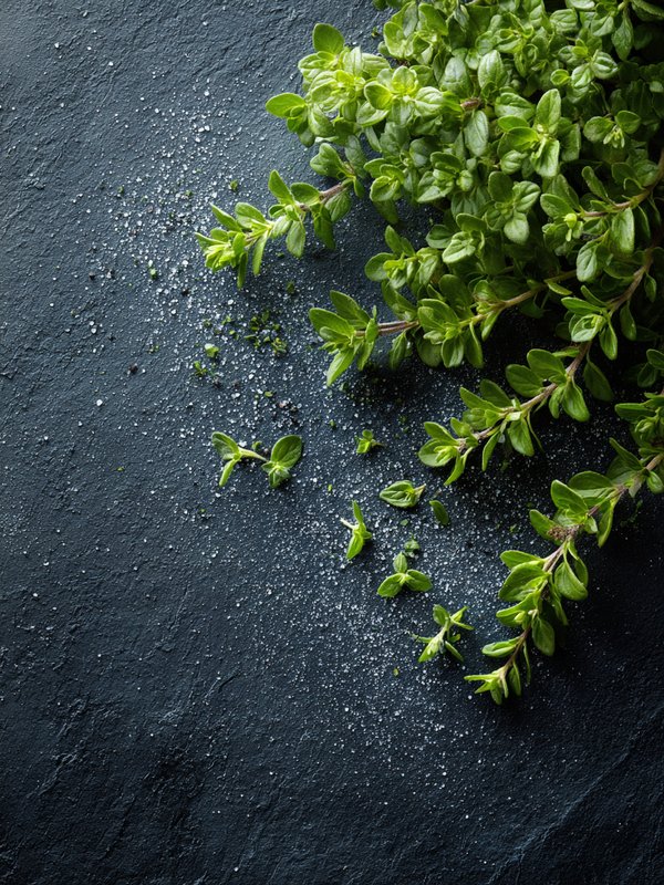 Oregano — ingredient reference image