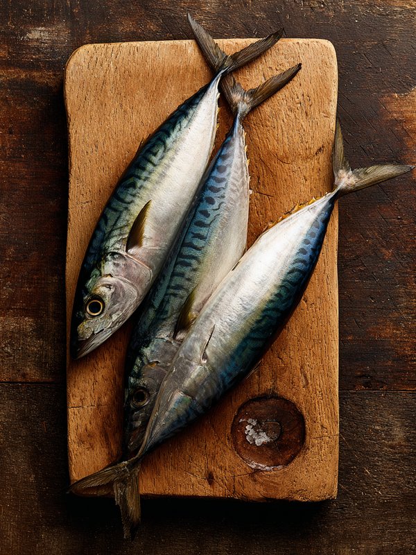 Pacific Jack Mackerel — ingredient reference image