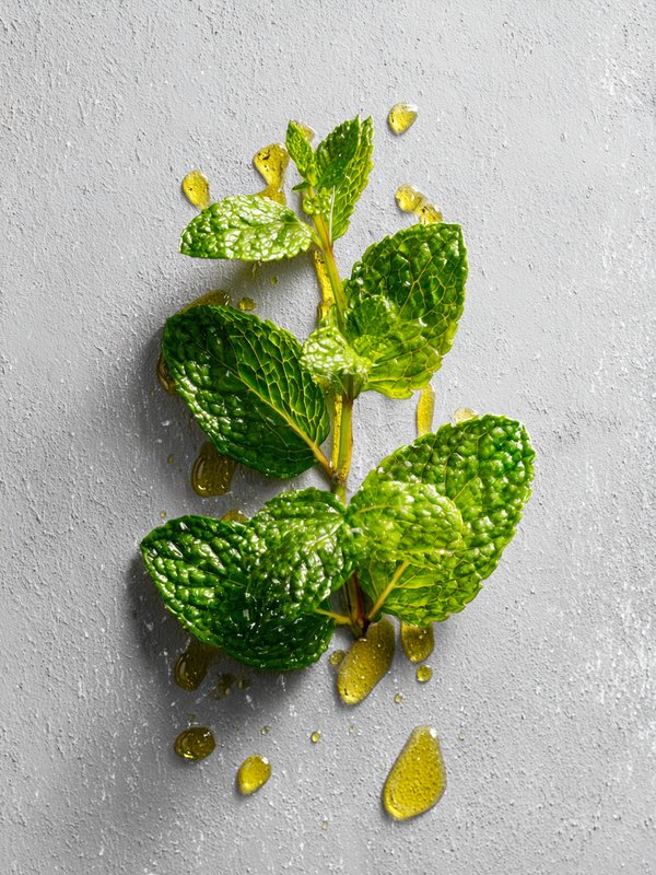 Peppermint — ingredient reference image
