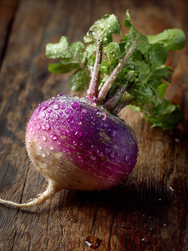 Prairie Turnip — ingredient reference image