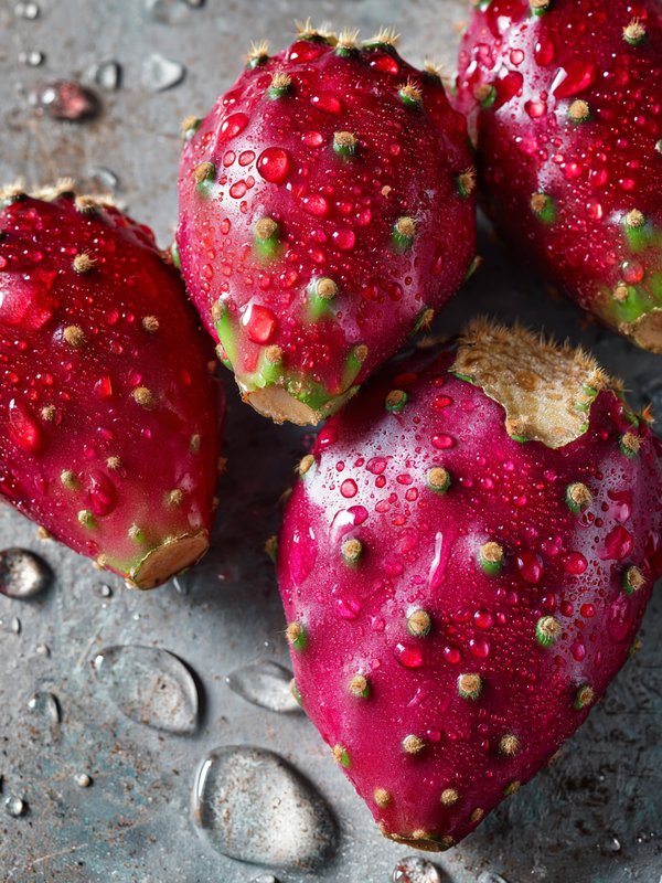 Prickly Pear — ingredient reference image