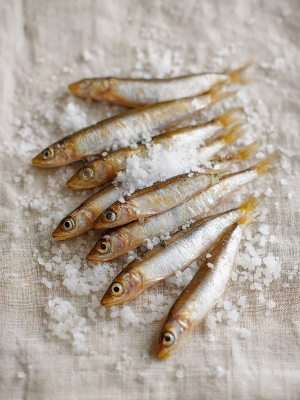 Rainbow Smelt — ingredient reference image