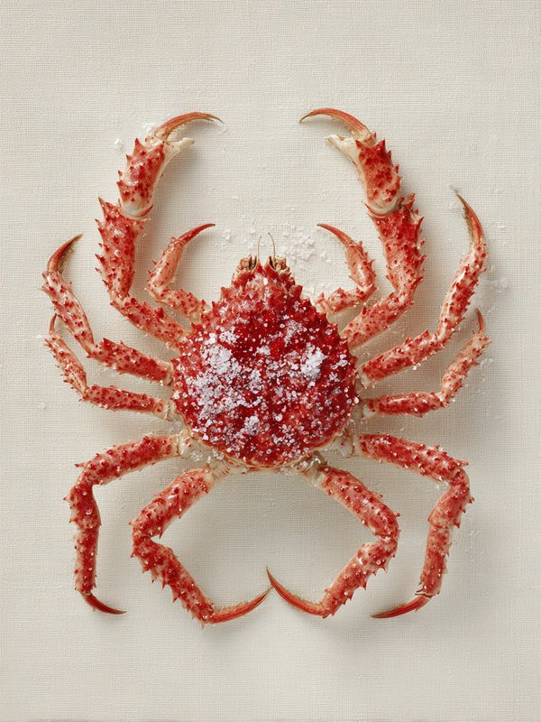 Red King Crab — ingredient reference image