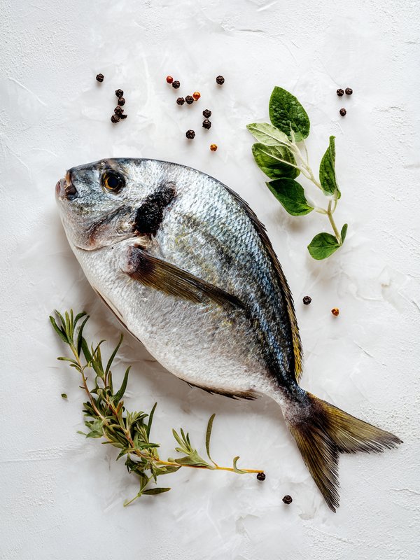Scup — ingredient reference image
