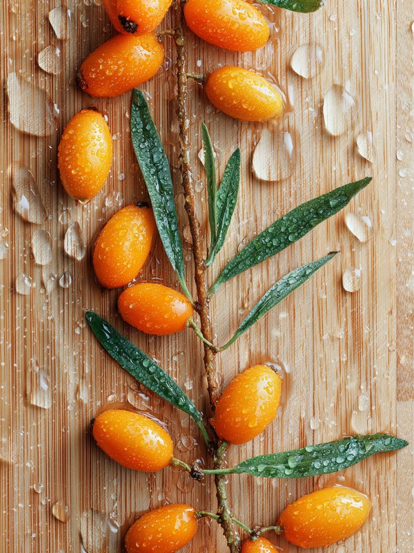 Sea Buckthorns — ingredient reference image