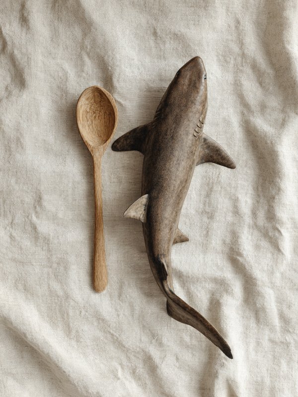 Shark — ingredient reference image