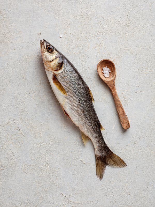 Sheefish — ingredient reference image