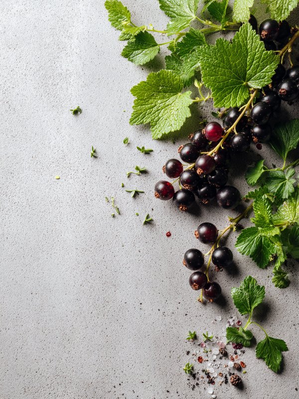 Skunk Currant — ingredient reference image