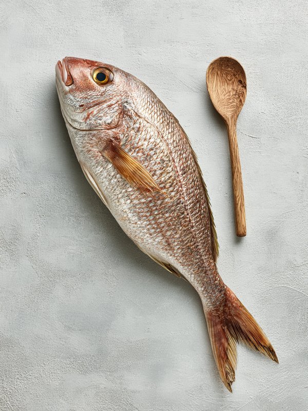 Snapper — ingredient reference image