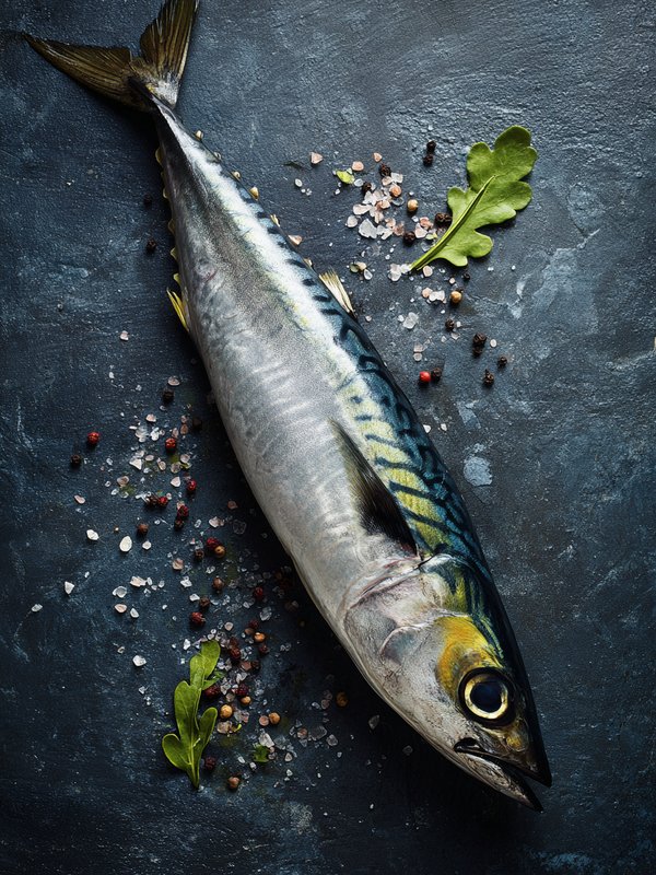 Spanish Mackerel — ingredient reference image