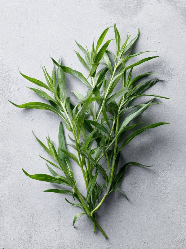 Tarragon — ingredient reference image