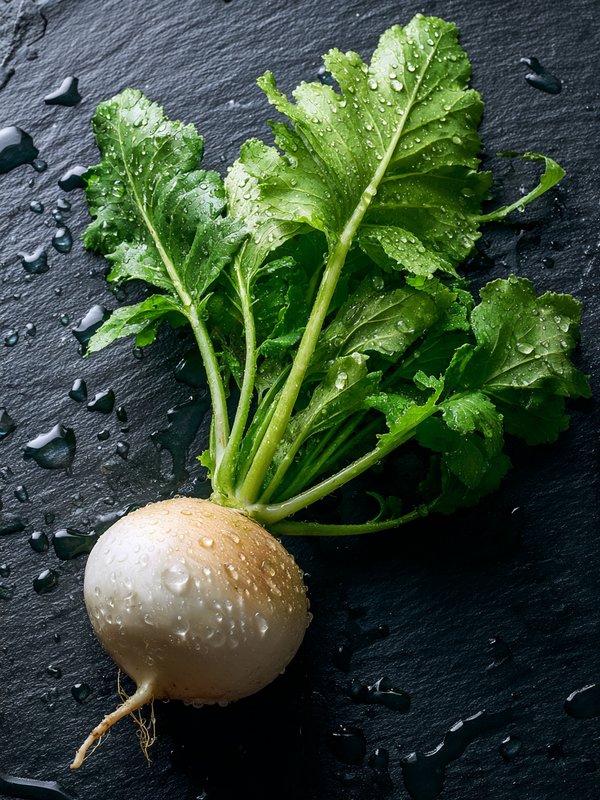 Turnip — ingredient reference image