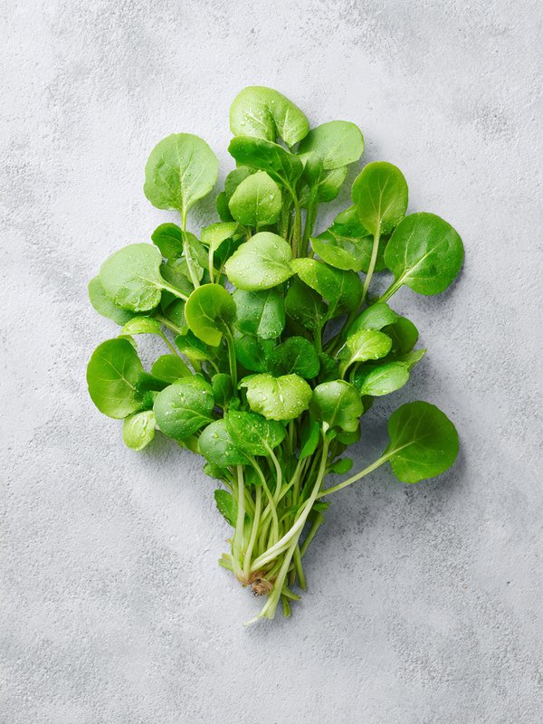 Watercress — ingredient reference image