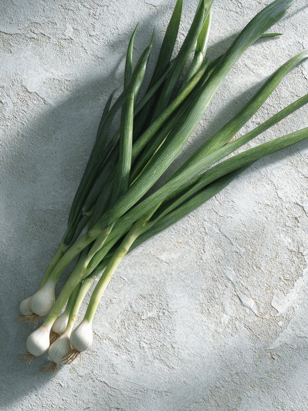 Welsh Onion — ingredient reference image