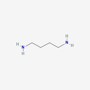 2D Lewis structure of putrescine