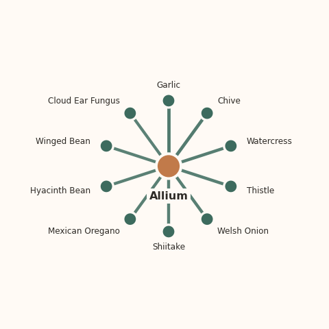 Molecular neighborhood diagram of allium — top 10 ingredients ranked by shared volatile compounds