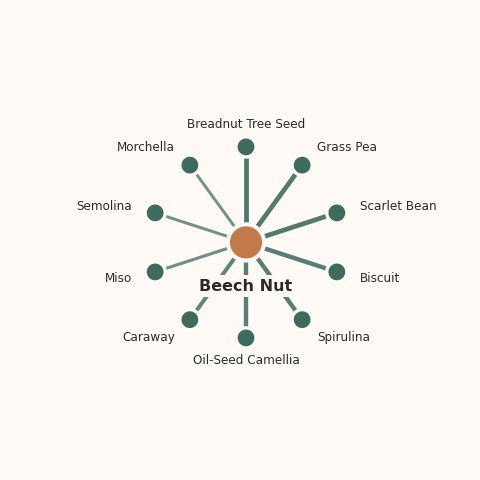 Molecular neighborhood diagram of beech nut — top 10 ingredients ranked by shared volatile compounds