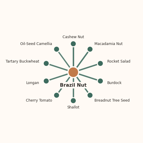 Molecular neighborhood diagram of brazil nut — top 10 ingredients ranked by shared volatile compounds