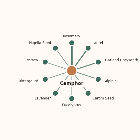 Molecular neighborhood diagram of camphor — top 10 ingredients ranked by shared volatile compounds