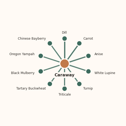 Molecular neighborhood diagram of caraway — top 10 ingredients ranked by shared volatile compounds